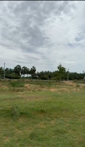 Radhapuram, Tirunelveli photo 3