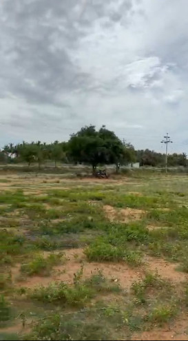 Radhapuram, Tirunelveli photo 4