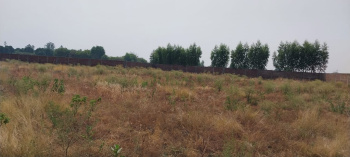  Agricultural Land for Rent in Kalpi, Jalaun