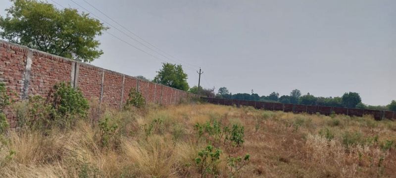  Agricultural Land 37000 Sq.ft. for Rent in Kalpi, Jalaun