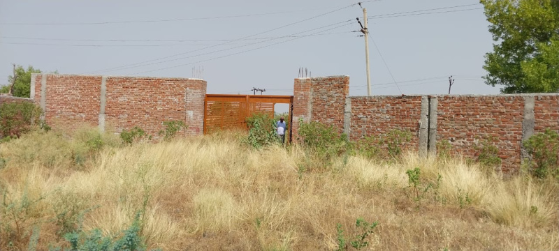  Agricultural Land 37000 Sq.ft. for Rent in Kalpi, Jalaun