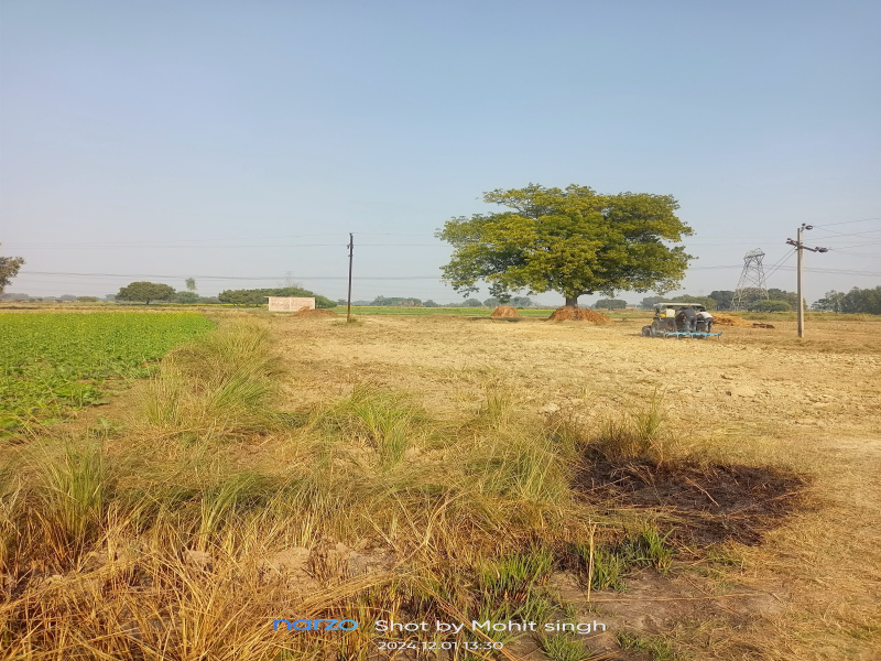  Residential Plot 900 Sq.ft. for Sale in Akbarpur, Kanpur Dehat