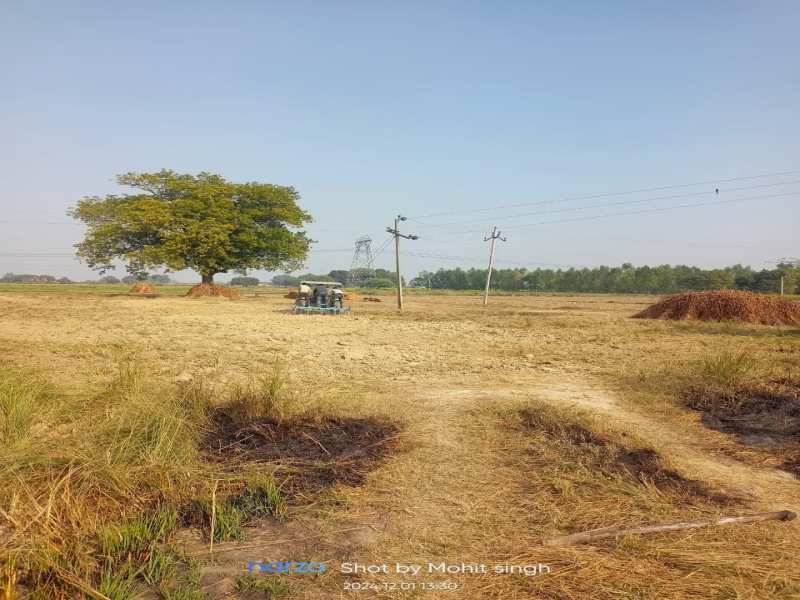  Residential Plot 25000 Sq.ft. for Sale in Sarvankhera, Kanpur Dehat