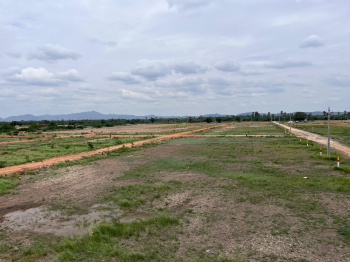  Residential Plot for Sale in Pamidi, Anantapur