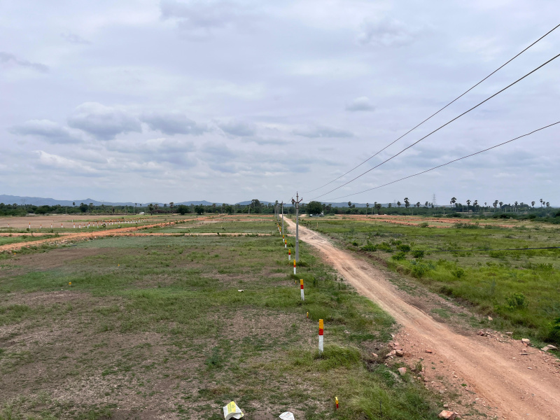  Residential Plot 4 Cent for Sale in Pamidi, Anantapur