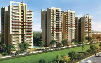 1 BHK Flat for Sale in Airport Road, Zirakpur