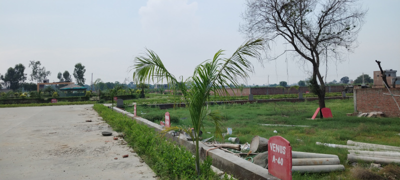  Residential Plot 72 Sq. Meter for Sale in Joya, Amroha