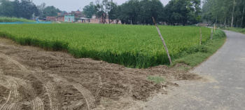  Residential Plot for Sale in Ayodhya, Faizabad