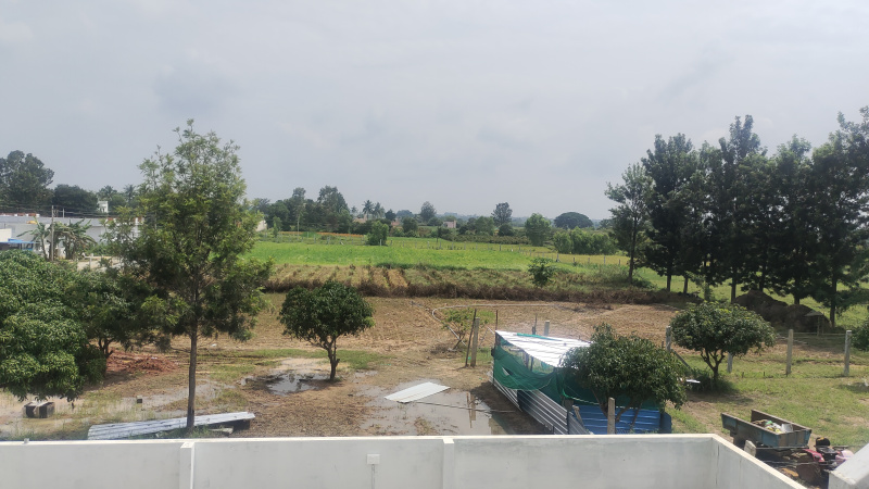  Agricultural Land 187700 Sq.ft. for Rent in Gudibanda, ChikBallapur