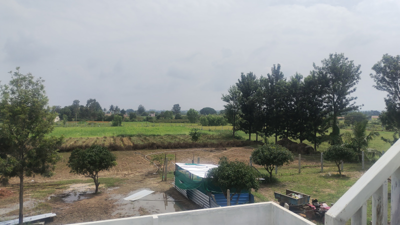  Agricultural Land 187700 Sq.ft. for Rent in Gudibanda, ChikBallapur