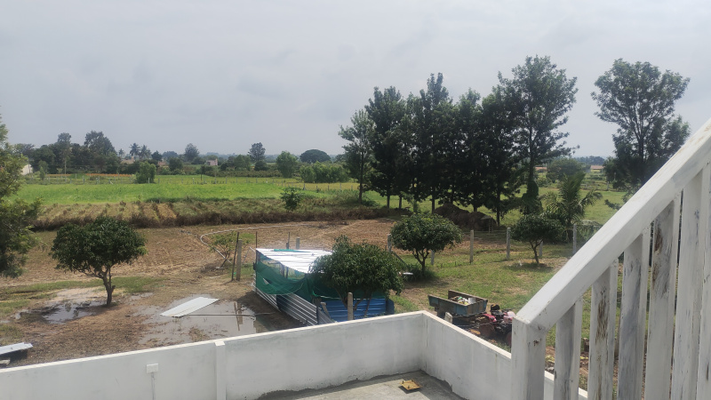  Agricultural Land 187700 Sq.ft. for Rent in Gudibanda, ChikBallapur