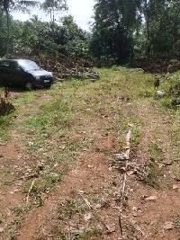  Residential Plot for Sale in Adoor, Pathanamthitta