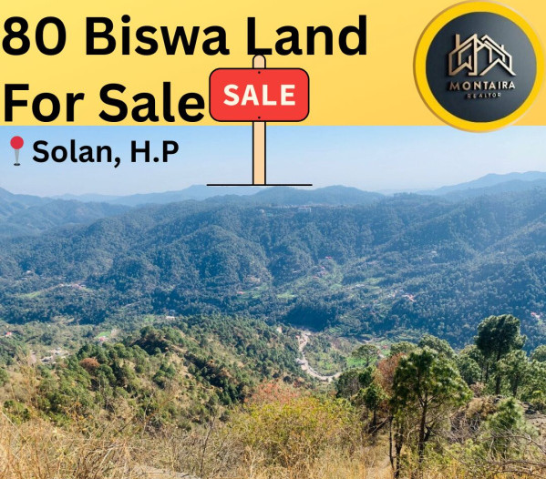 Commercial Land 80 Biswa for Sale in Rabon, Solan
