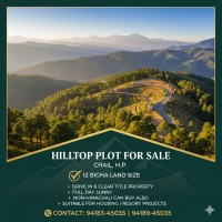  Commercial Land for Sale in Chail, Solan