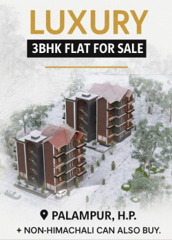 3 BHK Flat for Sale in Maranda, Palampur