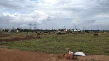  Residential Plot for Sale in Balianta, Bhubaneswar