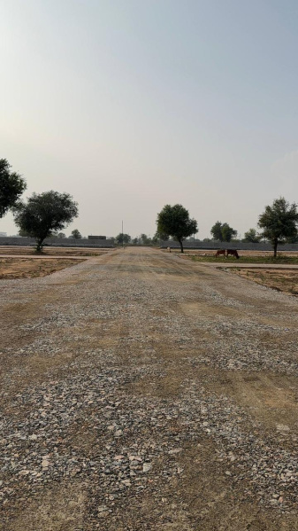 1 BHK 100 Sq.ft. Farm House for Sale in Sanganer, Jaipur