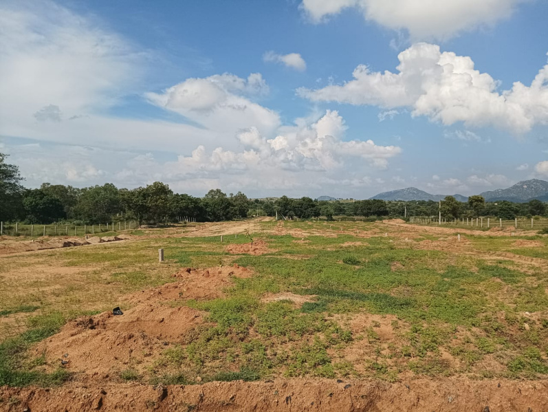  Residential Plot 3000 Sq.ft. for Sale in Kadiri, Anantapur