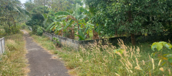  Residential Plot for Sale in Kolazhy, Thrissur