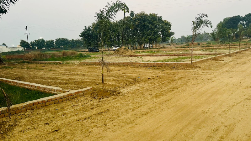  Residential Plot 1000 Sq.ft. for Sale in Harahua, Varanasi