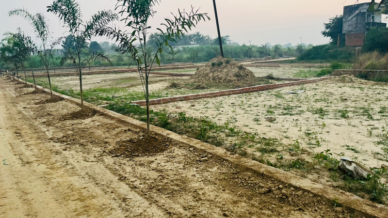  Residential Plot 1000 Sq.ft. for Sale in Harahua, Varanasi