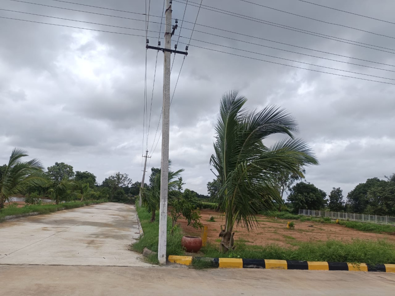 Residential Plot 168 Sq. Yards for Sale in Shadnagar, Hyderabad
