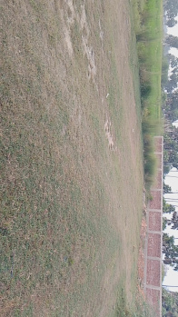  Residential Plot for Sale in Tara Chandi Temple, Sasaram