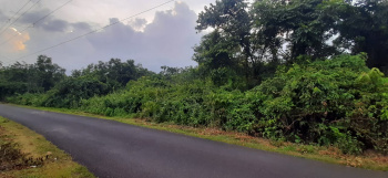  Residential Plot for Sale in Pernem, Goa