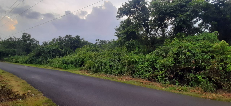  Residential Plot 7175 Sq. Meter for Sale in Pernem, Goa