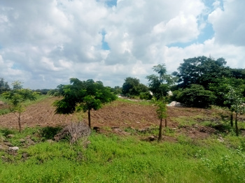  Residential Plot for Sale in Toravi, Bijapur