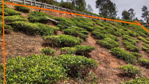  Residential Plot 27 Cent for Sale in Coonoor, Ooty