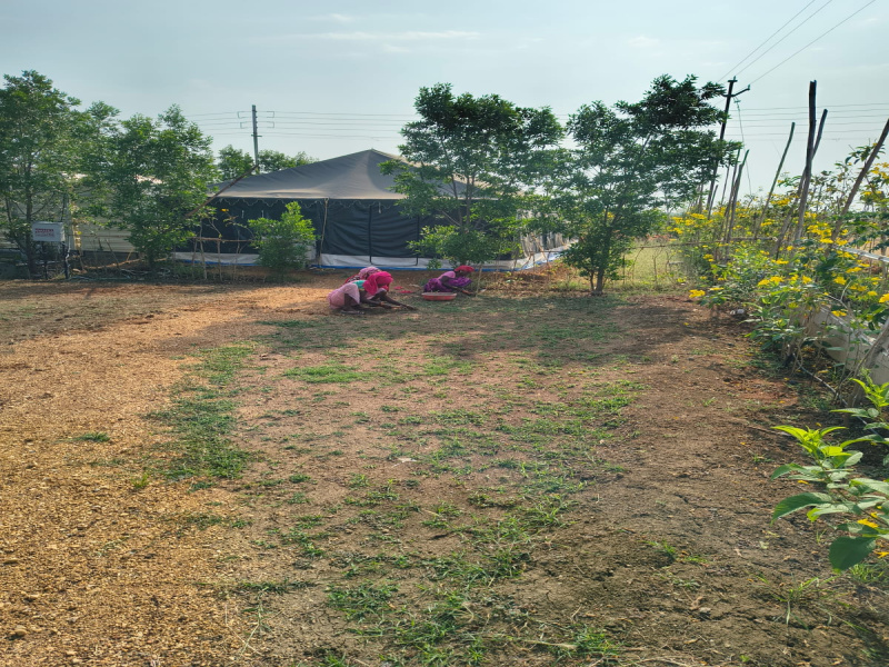  1418 Sq.ft. Residential Plot for Sale in Chimur, Chandrapur