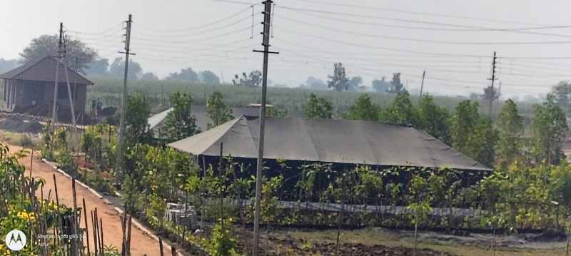  1418 Sq.ft. Residential Plot for Sale in Chimur, Chandrapur