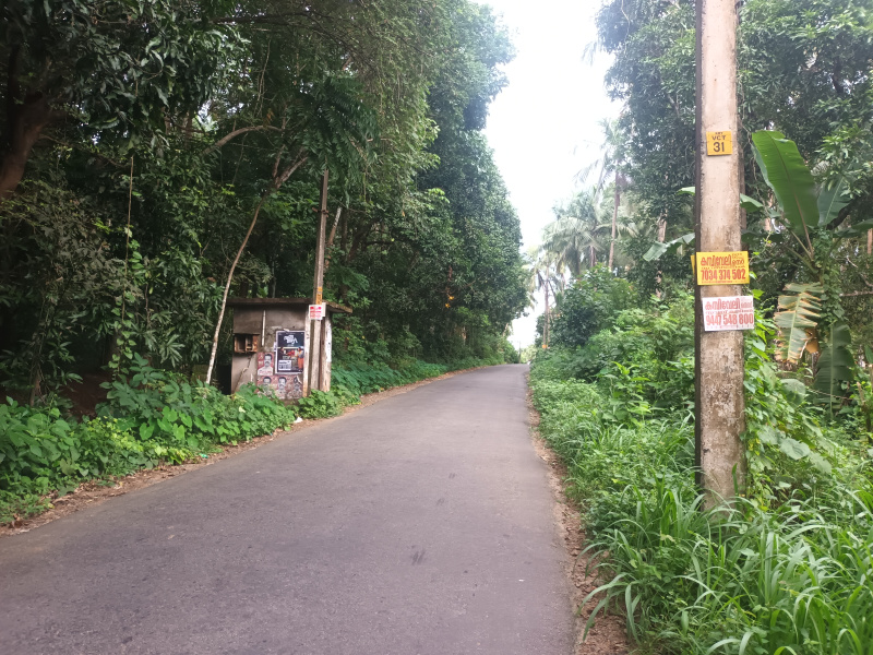  Residential Plot 130 Cent for Sale in Kechery, Thrissur