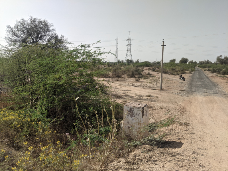  Commercial Land 330 Sq.ft. for Sale in Gajner Road, Bikaner