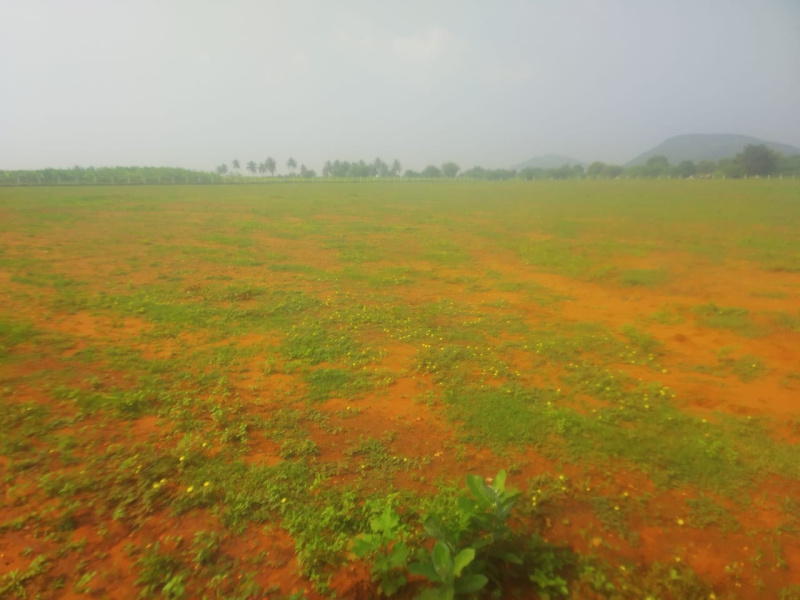 1 RK Apartment 7 Acre for Sale in Sirumugai, Coimbatore