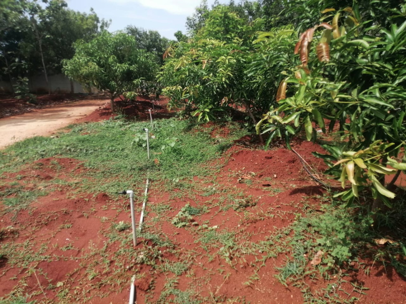  Agricultural Land 61347 Sq.ft. for Sale in Gandarvakottai, Pudukkottai