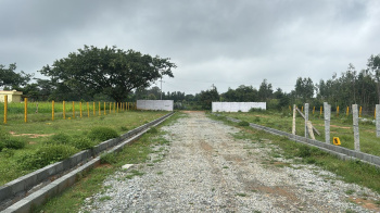  Residential Plot for Sale in Hoskote Malur Road, Bangalore