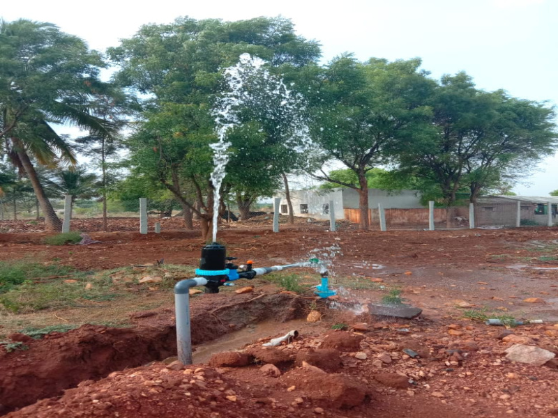  Agricultural Land 6534 Sq.ft. for Sale in Doddaballapur, Bangalore