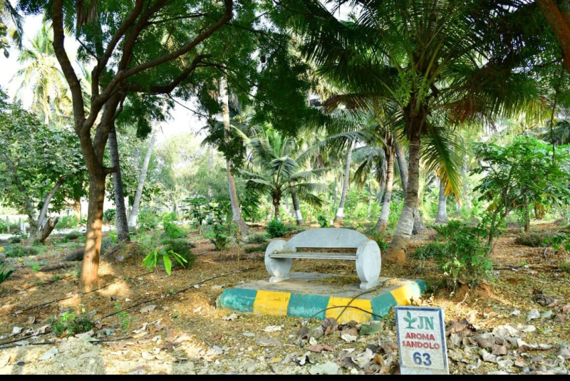  Agricultural Land 6534 Sq.ft. for Sale in Doddaballapur, Bangalore