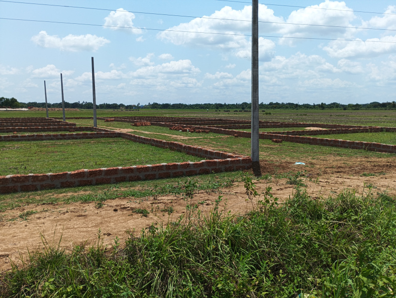  1500 Sq.ft. Residential Plot for Sale in Barang, Cuttack