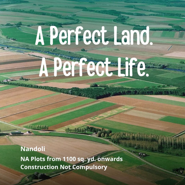  706 Sq. Yards Residential Plot for Sale in Thol Road, Ahmedabad