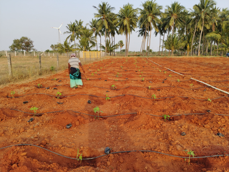  Agricultural Land 50 Cent for Sale in Vallioor, Tirunelveli