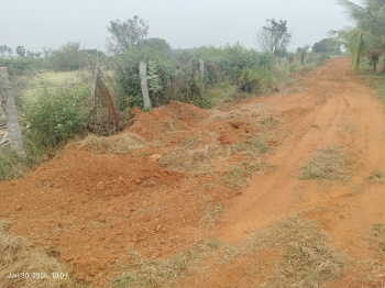  Residential Plot for Sale in Eruvadi, Tirunelveli