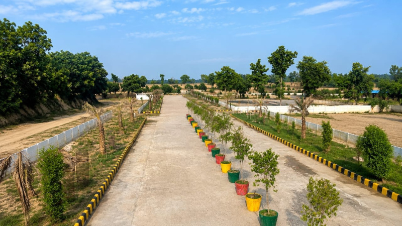 Ahmamau, Lucknow photo 3