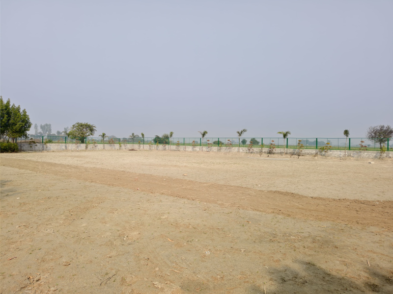  Residential Plot 500 Sq. Yards for Sale in Techzone, Greater Noida