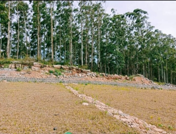  Residential Plot for Sale in Yercaud, Salem