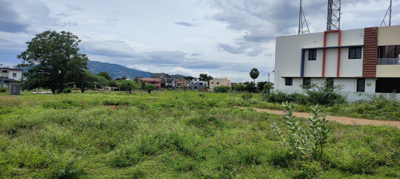  Residential Plot 1323 Sq.ft. for Sale in Mettupalayam Coimbatore