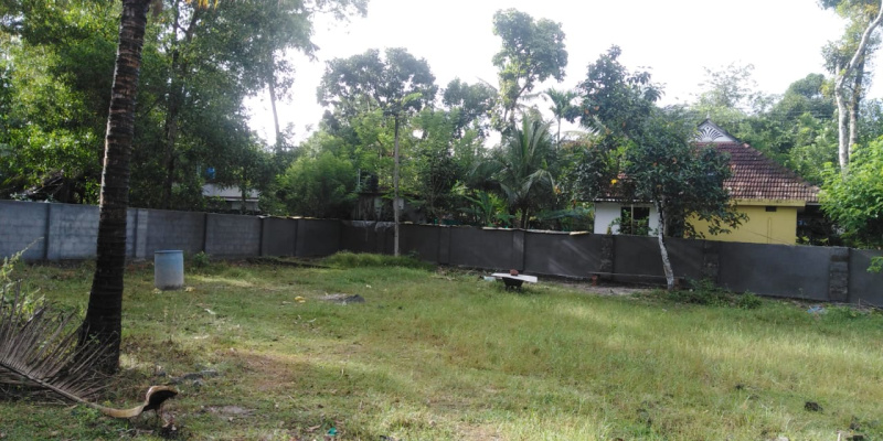  Residential Plot 11 Cent for Sale in Kanjikuzhy, Alappuzha