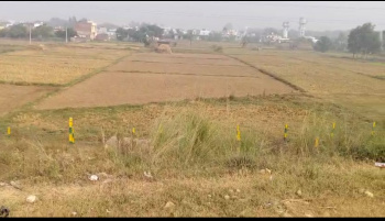  Residential Plot for Sale in Gandhi Nagar, Jammu